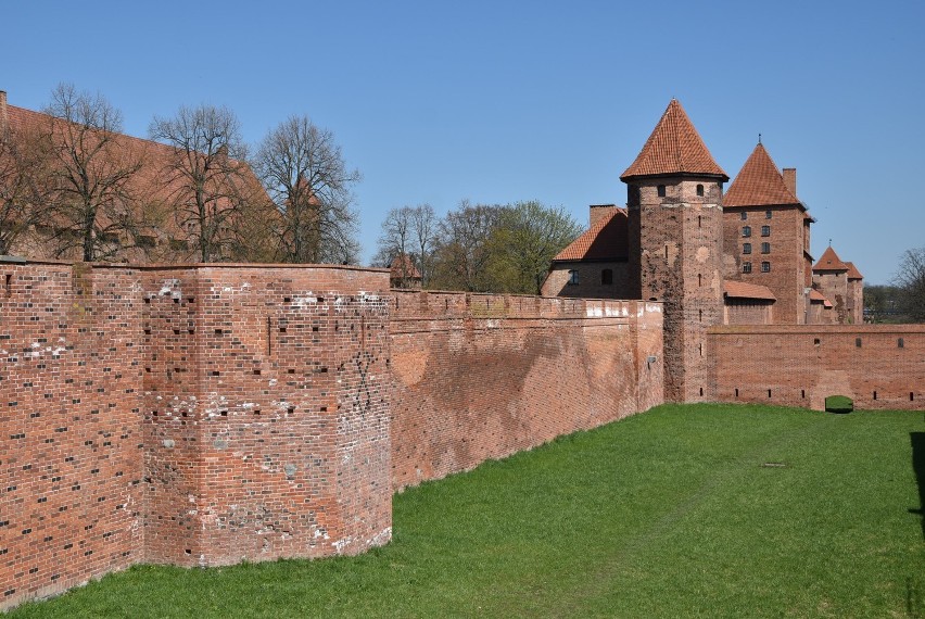 Malbork. Zamek miejscami biały po zimie. To naturalne zjawiska na murach, ale muzeum będzie się starało zaradzić im na przyszłość