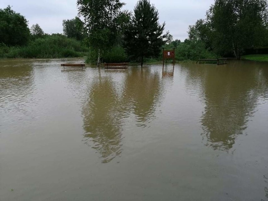 Woda zalała Buszkowice w gminie Żurawica  i odcięła ludzi od świata [ZDJĘCIA]