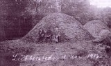 Wpływ historycznej produkcji węgla drzewnego na szatę leśną Borów Dolnośląskich i możliwość turystycznego wykorzystania śladów po węglarzach