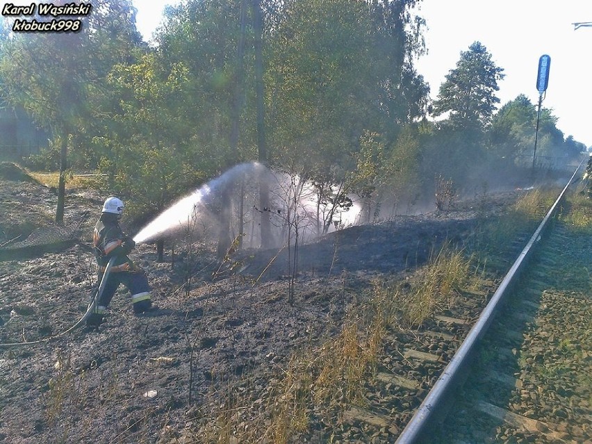 Krzepice: Pożar traw przy skarpie kolejowej [FOTO]