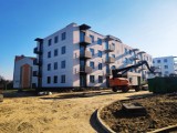 Mieszkania plus w Toruniu są już prawie gotowe 