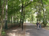 Park Zamkowy w Mysłowicach stale się rozwija, nowe trzy latarnie powstały od ulicy Kołłątaja. Ile wynosiła inwestycja? 