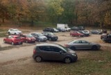 Tczew: auta zostawiane na parkingu przy parku trafiły na celownik wandali i złodziei