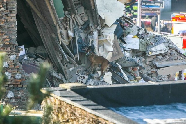 Do wybuchu na Dębcu doszło w niedzielę około godz. 8 rano. Zdarzenie miało miejsce w budynku przy ulicy 28 Czerwca. Zawaliła się duża część trzypiętrowej kamienicy. Cztery osoby nie żyją.

Czytaj więcej