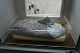 W Toruniu, w "Oknie Życia", umieszczono 11-miesięczne niemowlę