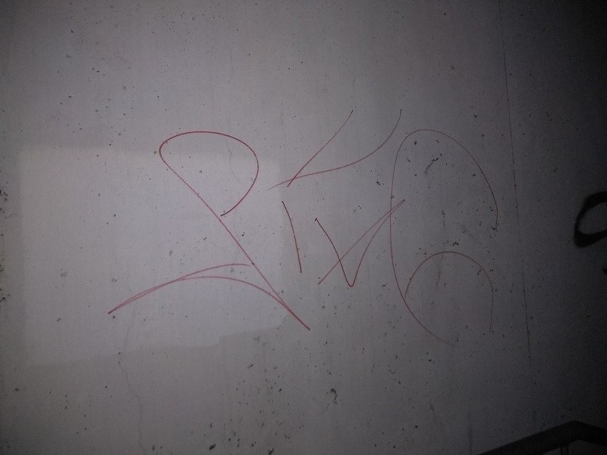 Grafficiarz-chuligan pisał markerem po ścianach...