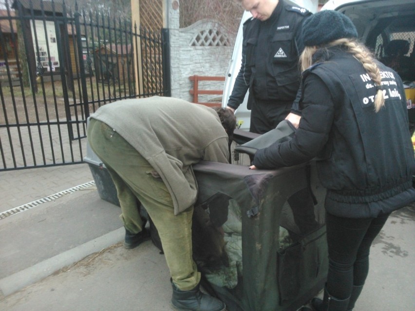 Oświęcim. Uratowali ranną i wycieńczoną sarenkę