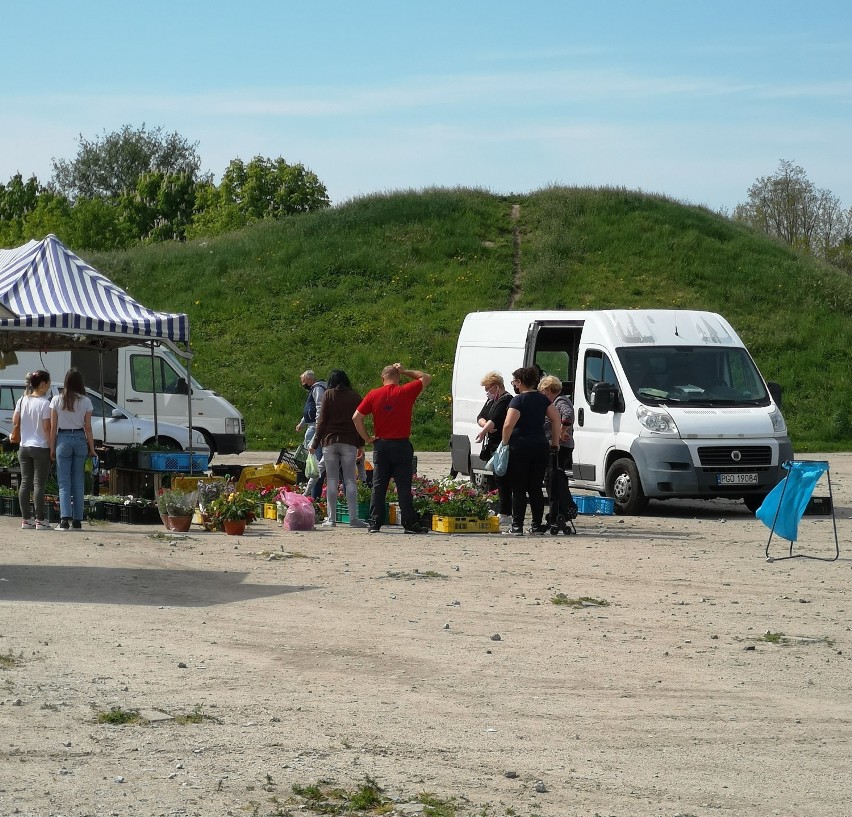 Opalenica. Sobota na targowisku miejskim [ZDJĘCIA]