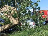 Koło Lubikowa kontener spadł na samochód, zginęła kobieta. Trwa śledztwo