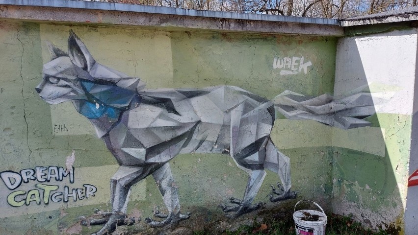 Graffiti przedstawiają zwierzęta, fantastyczne postacie,...