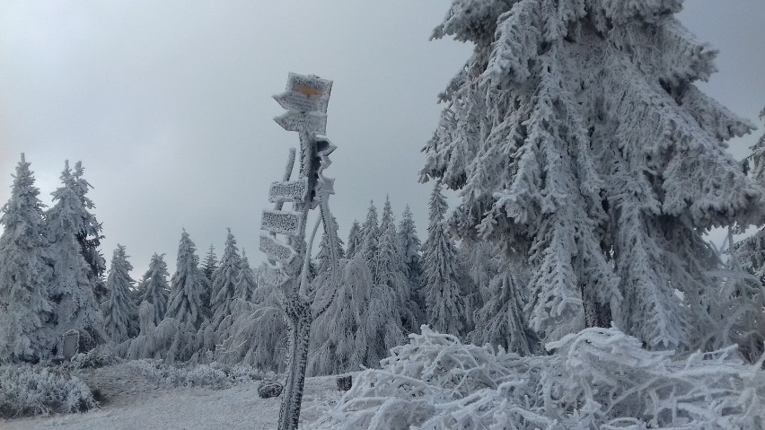 Szlaki turystyczne
Beskid Mały jest przedłużeniem na wschód...