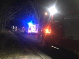 Ponad sto interwencji strażaków z powodu wichur w województwie opolskim