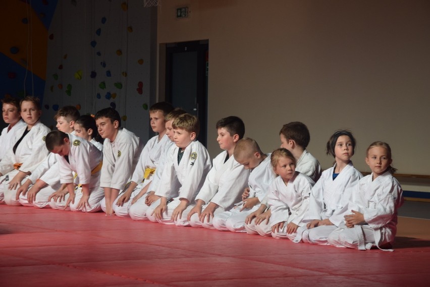 Śląska Akademia Aikido w Tychach. Zajęcia dla dzieci