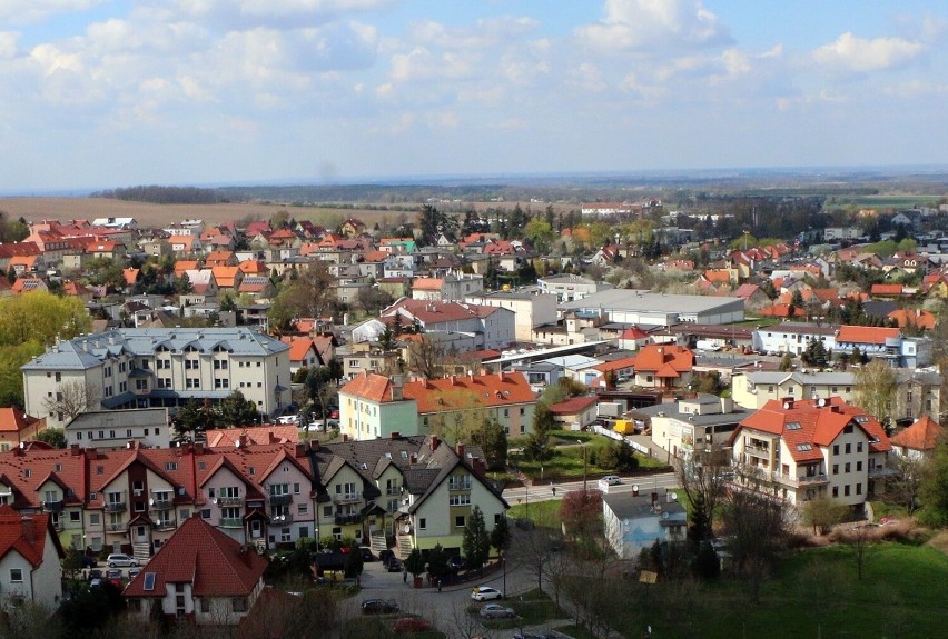 Widoki z wieży bazyliki trzebnickiej zapierają dech w...