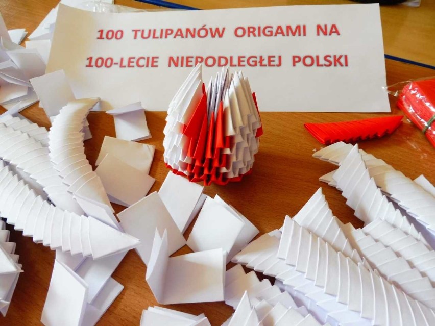 Sto papierowych tulipanów na 100-lecie niepodległości od uczniów z Rafałówki