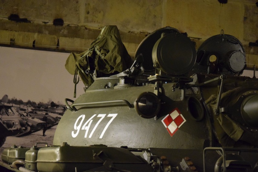 Wystawa i piknik militarny przygotowany przez Pilskie Muzeum...