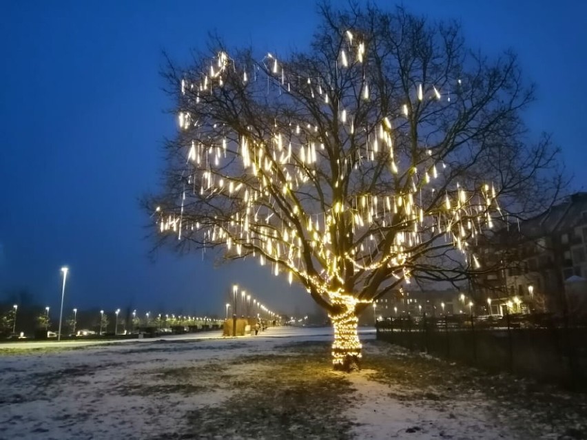Zima 2021 w Głogowie. Miasto pokryło się białym puchem. Zdjęcia