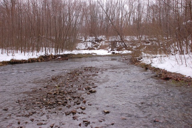 Kłopotnica to bardzo czysta rzeka. Jej źródła znajdują się na stoku Magury Wątkowskiej (około 780 m n.p.m.)