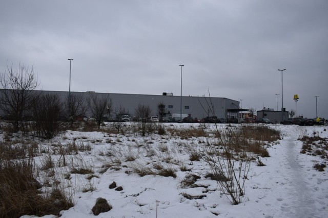 Tereny zagrożone podtopieniami. Łąki przy centrum handlowym Omni