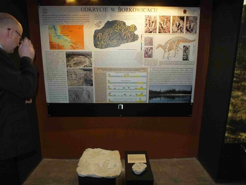 Otwarcie nowej wystawy paleontologicznej w starachowickim muzeum. Zobacz zdjęcia