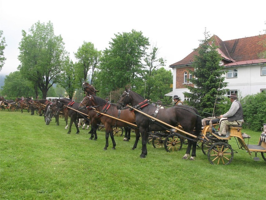 Zakopane: góralskie dorożki są w pełni sprawne [FOTO]