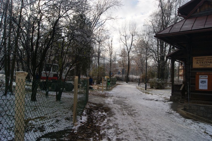 Zakopane: Rozpoczęły się prace w parku