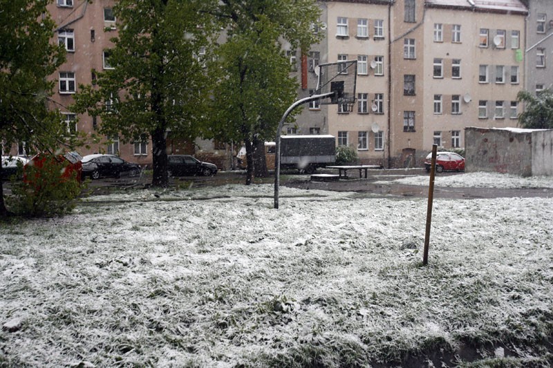 Legnica: Zima w maju