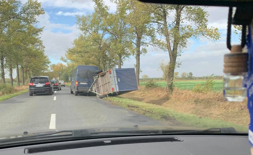 Porywisty wiatr powalił drzewa w powiecie oleśnickim, nie ma prądu. Straż interweniuje z powodu wichury 