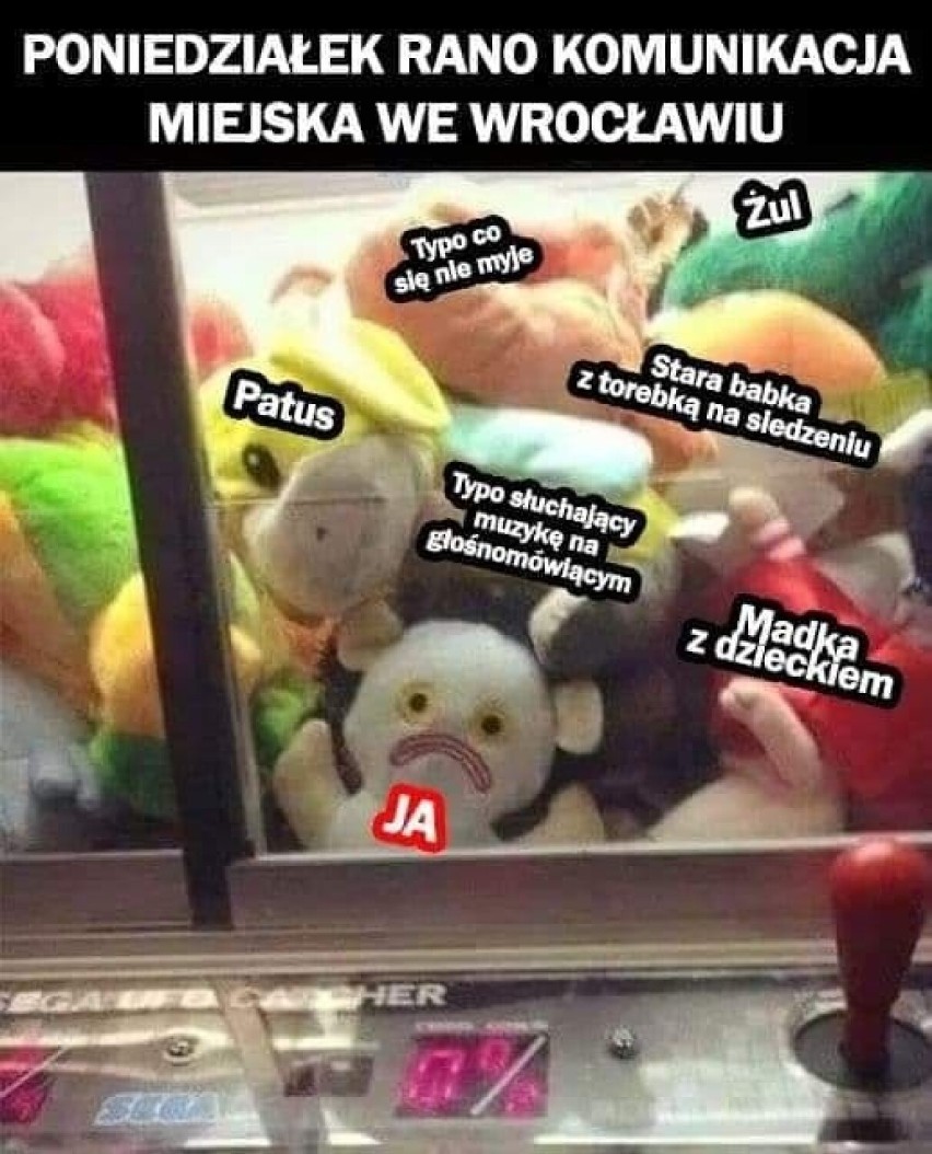 Nowe memy o Wrocławiu - internauci nie mają litości dla Sutryka, Odry, korków i MPK [ZDJĘCIA]