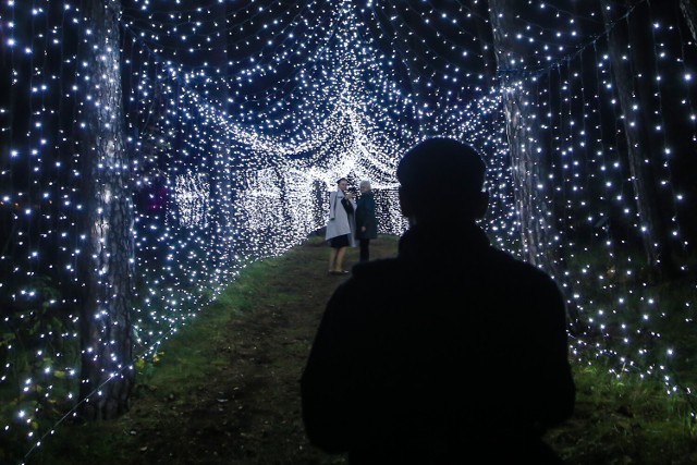 Lumina Park wraca do Bydgoszczy! Tegorocznym tematem przewodnim będzie "Magiczna Podróż". Odwiedzający park iluminacji w Bydgoszczy będą mieli okazję przenieść się w świat czarodziejów, magii i marzeń. Zobaczcie, jak wyglądał Lumina Park w ubiegłych latach >>>>>