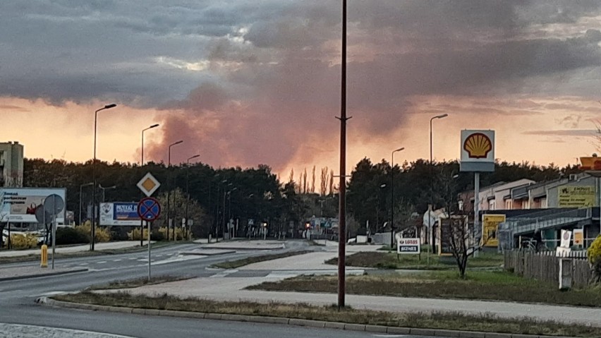 Pożar widać było z Nowej Soli i wielu innych miejscowości.