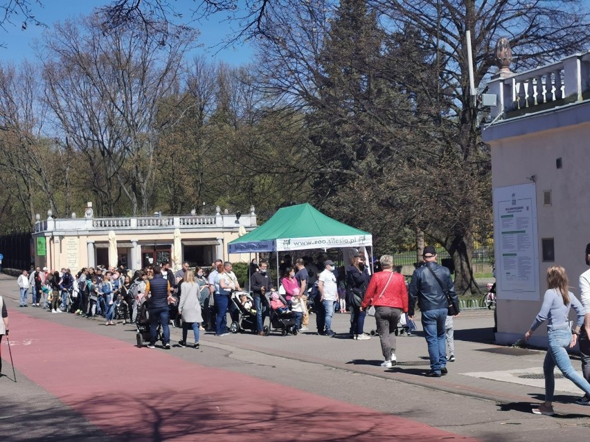 Długa kolejka ustawiła się przed wejściem do Śląskiego...