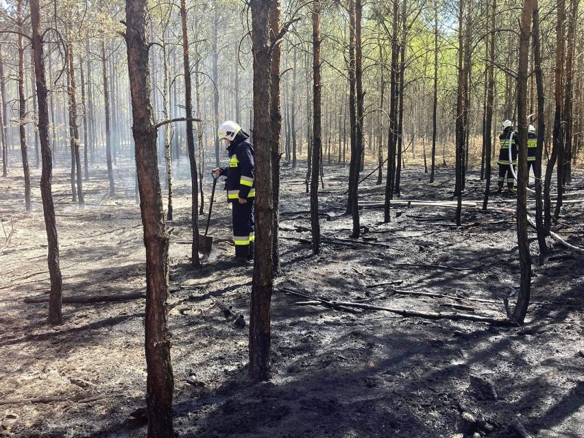 19 maja 2022 roku miał miejsce kolejny pożar lasu w miejscowości Józefów