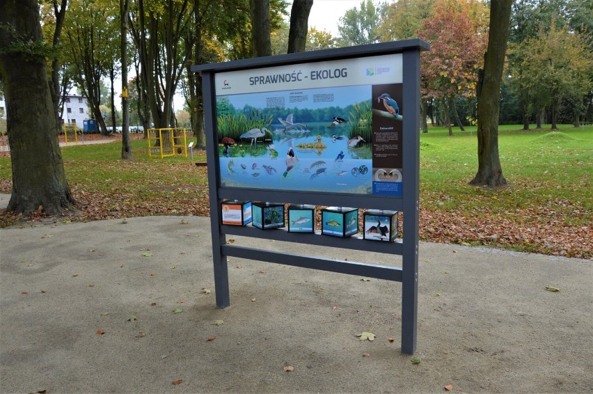 Odnowiony park w Wieruszowie już służy mieszkańcom. Zainwestowano tu niemal 2 mln zł ZDJĘCIA 