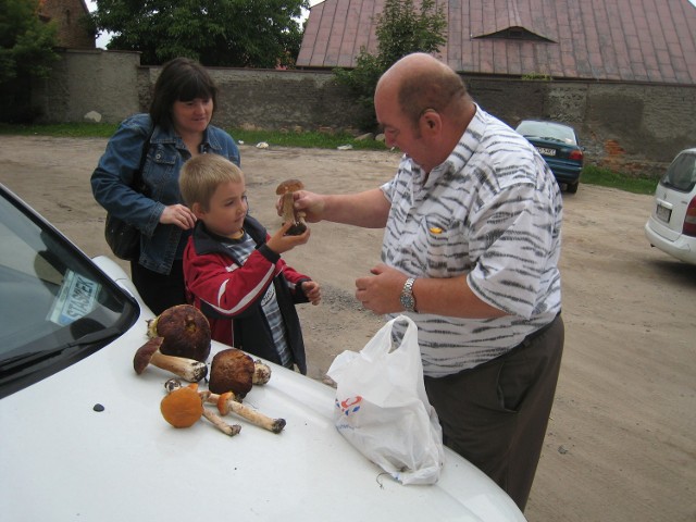 Te dorodne grzyby zebrał ze swoim tatą Stanisławem 8-letni Mateusz Grzelak z Zduńskiej Woli