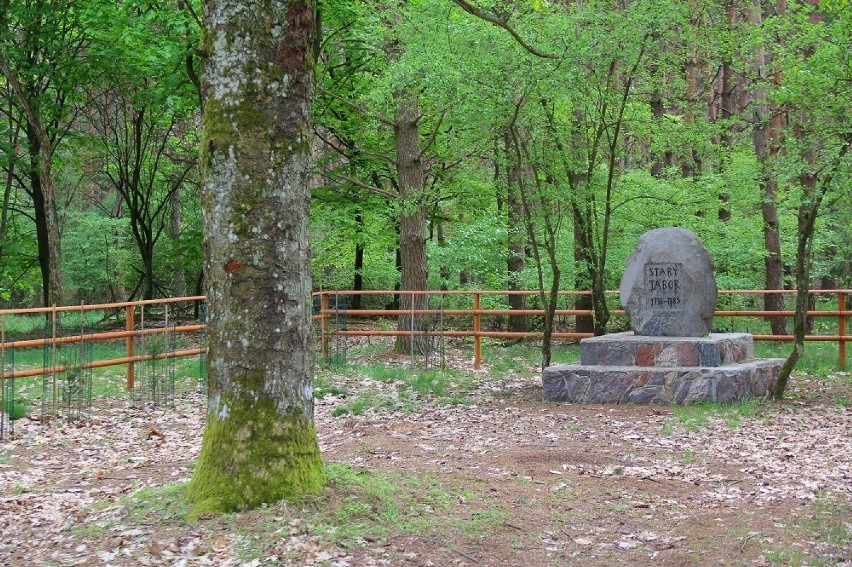 Nadleśnictwo Syców zrewitalizowało zabytkowy obelisk w dawnej wsi Stary Tabor