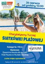 Charytatywny Turniej  Siatkówki Plażowej w parku wodnym Aquadrom w Rudzie Śląskiej!