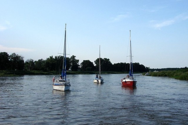 Wrocławianie wyruszyli z Portu Uraz 6 lipca i po pokonaniu śluzy Brzeg Dolny płynęli malowniczym szlakiem Odry do Ścinawy, miejsca startu Flisu Odrzańskiego 2012. Fot. Janina Bieleńko