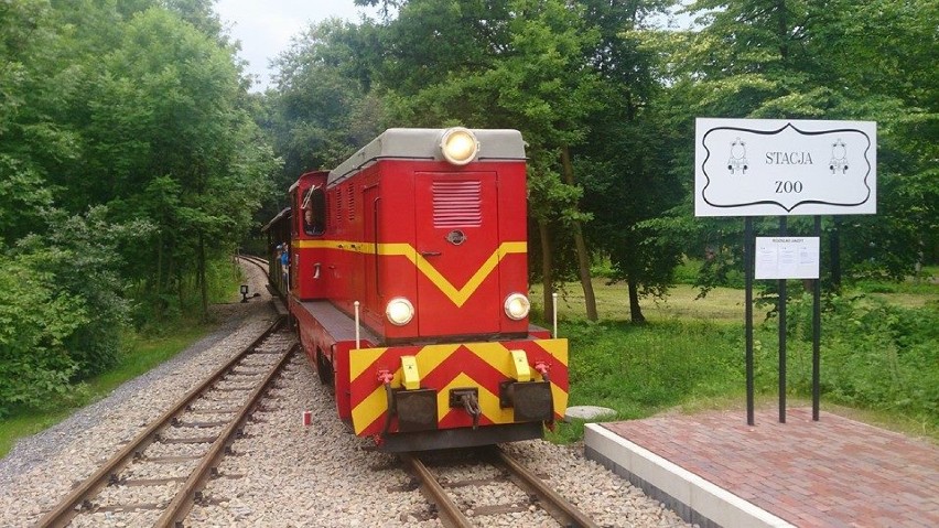 Park Śląski bez kolejki wąskotorowej. Znika kolejna wielka atrakcja