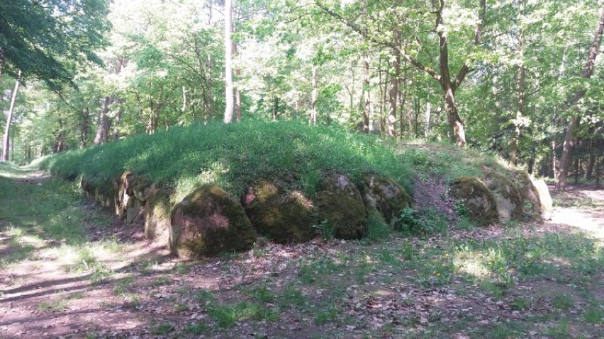 Rezerwat archeologiczny w Wietrzychowicach