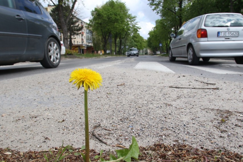 Kielczanie narzekają na stan kieleckich ulic. Ale o dziwo...