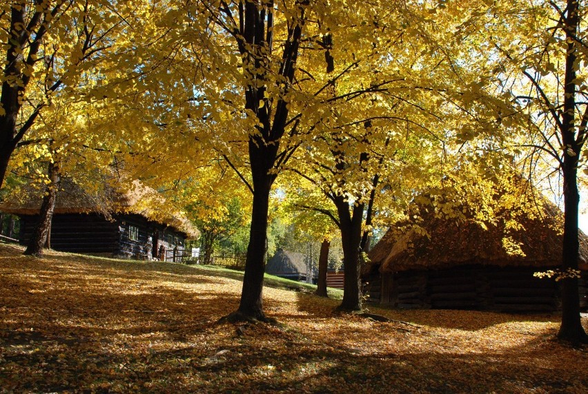 Skansen w Wygiełzowie
Idealnym miejscem, aby nacieszyć oczy...