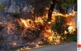 Małopolanie wśród ofiar śmiertelnych pożarów w Grecji
