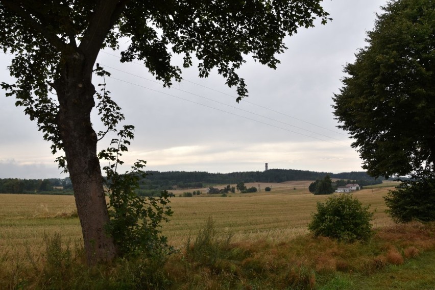 Kościerzyna. Ciekawe i urokliwe miejsca w powiecie kościerskim, które trzeba zobaczyć! [ZDJĘCIA]