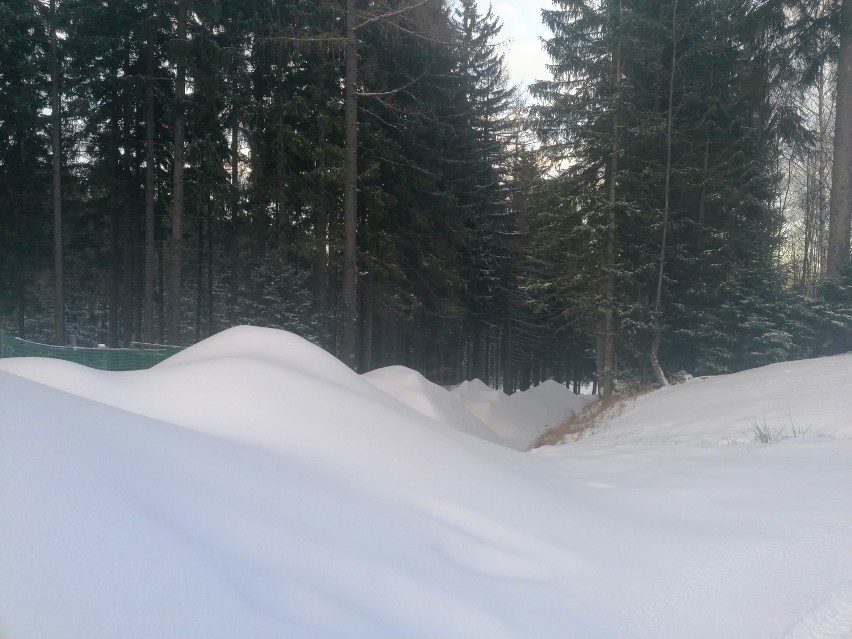 Winterpol Karpacz Biały Jar już jutro otwiera sezon narciarski. Zobaczcie jak tam pięknie! [ZDJĘCIA]