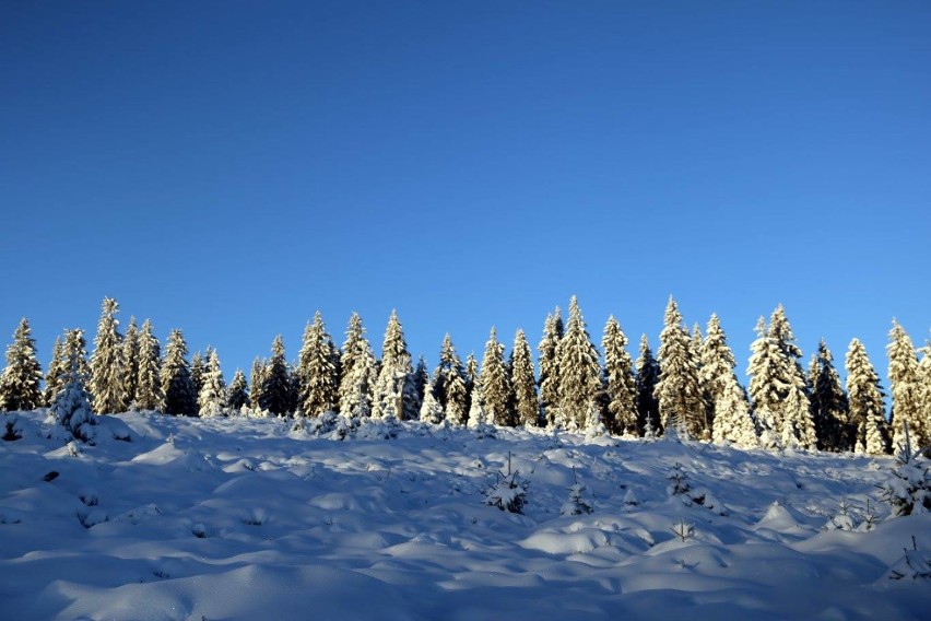 Zima w Beskidach! W górach nawet 25 cm śniegu! [ZDJĘCIA, KAMERKA]