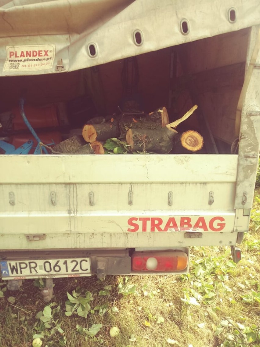 Czwartkowe wycinki drzew na Fabrycznej w Lesznie dokumentowane przez mieszkańców