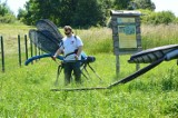 Gmina Dębica. Zagonił dyrektora do mrówczej pracy