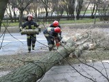 Wichura w powiecie zduńskowolskim nie odpuszcza. Ludzie są bez prądu i wody [zdjęcia]