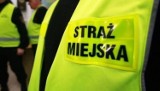 Czym zajmuje się straż miejska w Warszawie? Jest raport za 2019 rok 